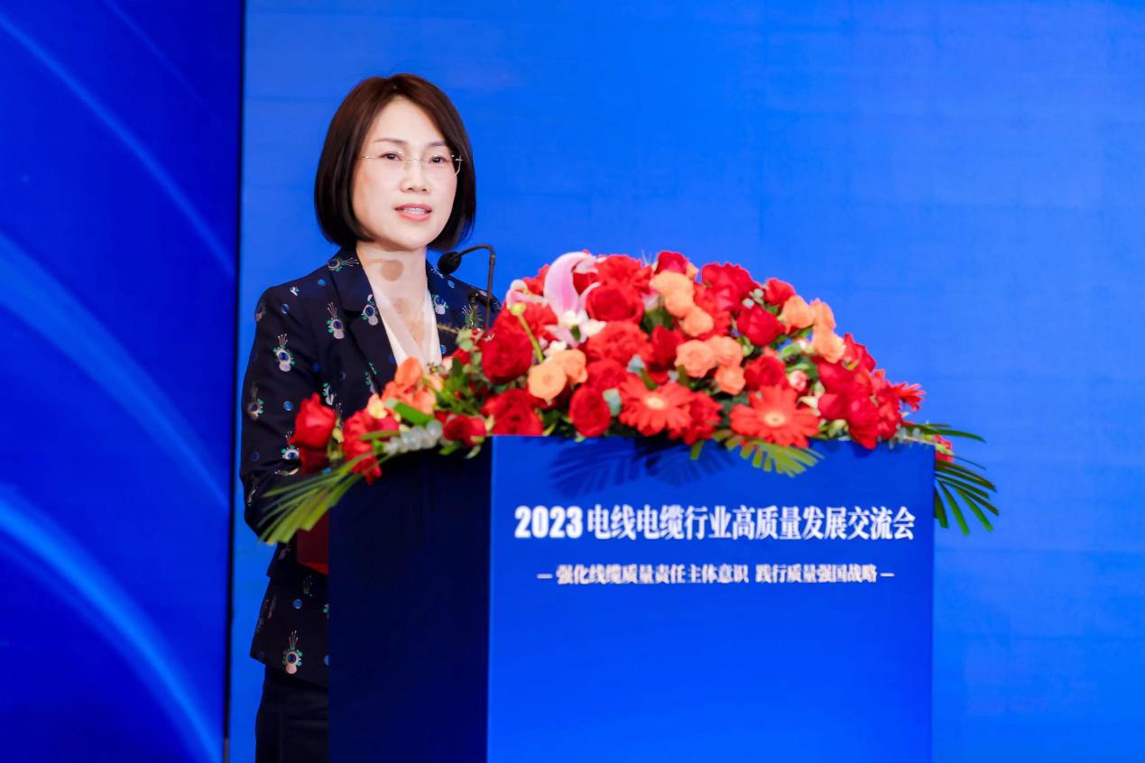 践行质量强国战略共商电线电缆开云 开云体育平台行业高质量发展——2023电线电缆行业高发展交流会在京举行(图2)