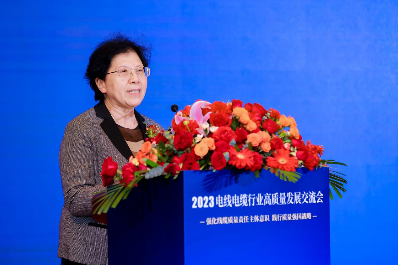践行质量强国战略共商电线电缆开云 开云体育平台行业高质量发展——2023电线电缆行业高发展交流会在京举行(图3)