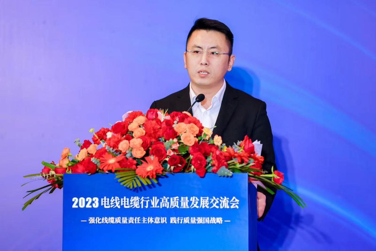 践行质量强国战略共商电线电缆开云 开云体育平台行业高质量发展——2023电线电缆行业高发展交流会在京举行(图8)