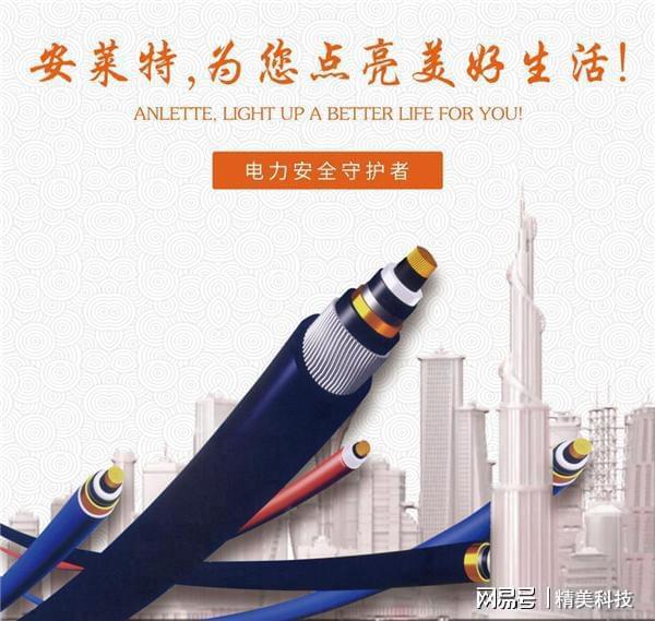 安莱特电缆：深化售后服务精准服务企业开云体育 开云官网(图4)