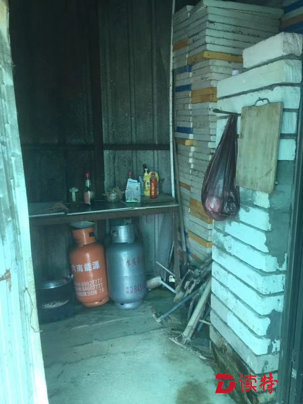建材违规电线煤气罐乱堆放 大开云 开云体育平台鹏一育种基地将接受查封整改(图2)