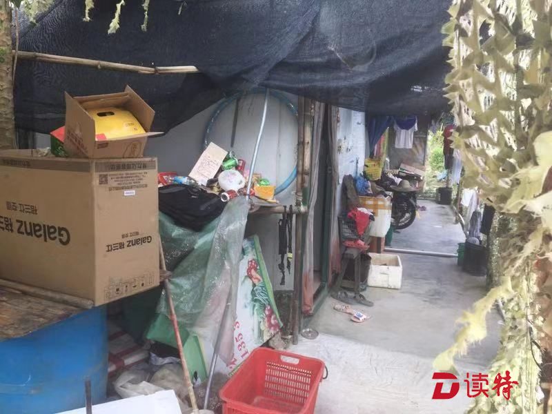 建材违规电线煤气罐乱堆放 大开云 开云体育平台鹏一育种基地将接受查封整改(图1)