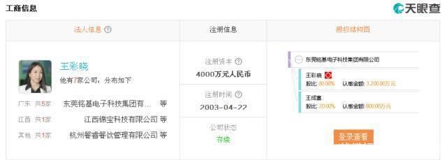 开云APP 开云官网入口新时代线缆行业的女强人(图12)