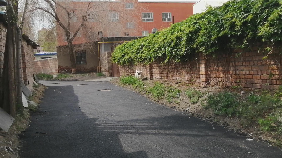 乌鲁木齐市米东区：转作风 走基层 实事办到居民心坎上Kaiyun 开云体育(图3)