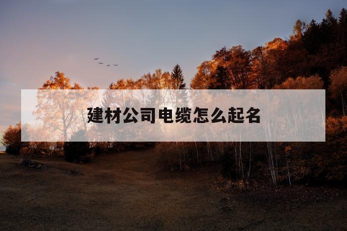 建材公司电缆怎Kaiyun 开云么起名(图1)