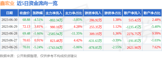 开云 开云体育官网鑫宏业（301310）6月30日主力资金净卖出80234万元(图1)