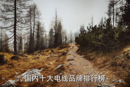 全国十大电缆品牌中国电线排名前十的有哪些品牌Kaiyun 开云(图1)