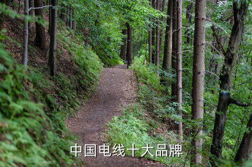 开云体育 开云官网电线品牌排行榜中国电线排名前十的有哪些品牌(图2)