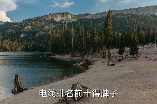 开云 开云体育平台电线排名中国电线电缆的十大排名有哪些企业(图3)